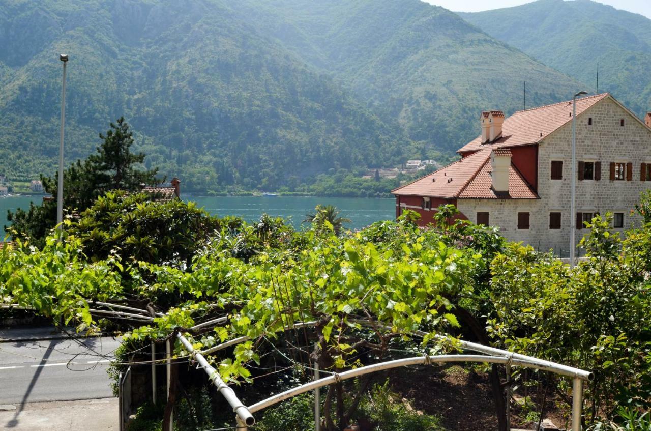 Apartments Nik Kotor Buitenkant foto