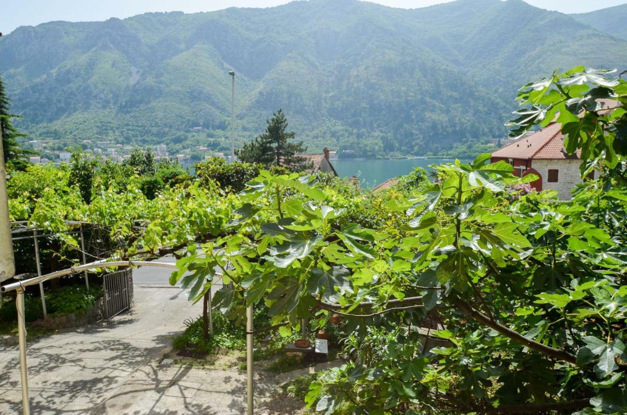 Apartments Nik Kotor Buitenkant foto